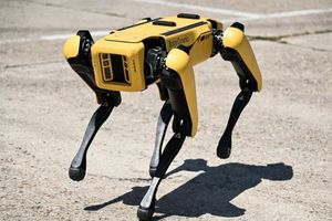 США відправлять в Україну робота-собаку від Boston Dynamics