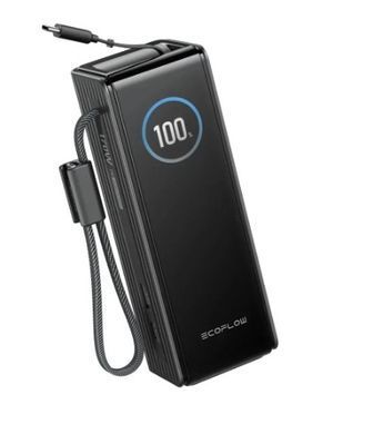 Павербанк EcoFlow RAPID Power Bank с кабелями 25000mAh черный