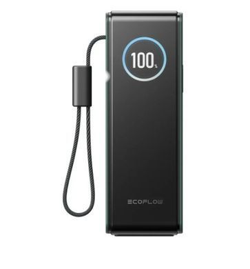 Павербанк EcoFlow RAPID Power Bank с кабелями 25000mAh зеленый