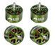 Мотор Flash Hobby Mars M3115 900KV BLDC Motor